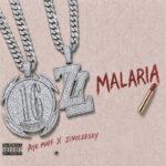 Malaria
